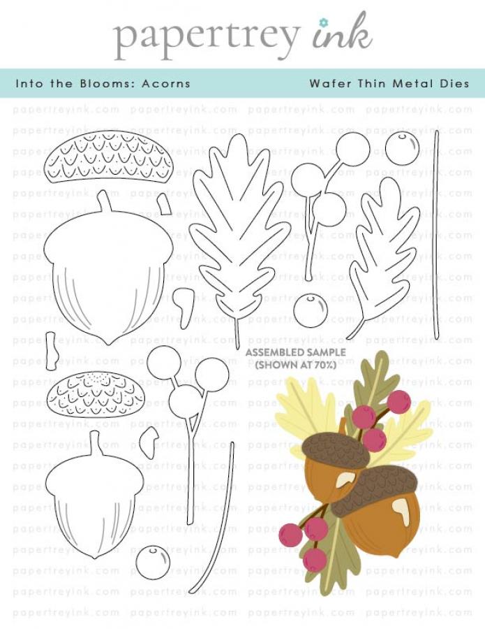 Into the Blooms: Acorns Die