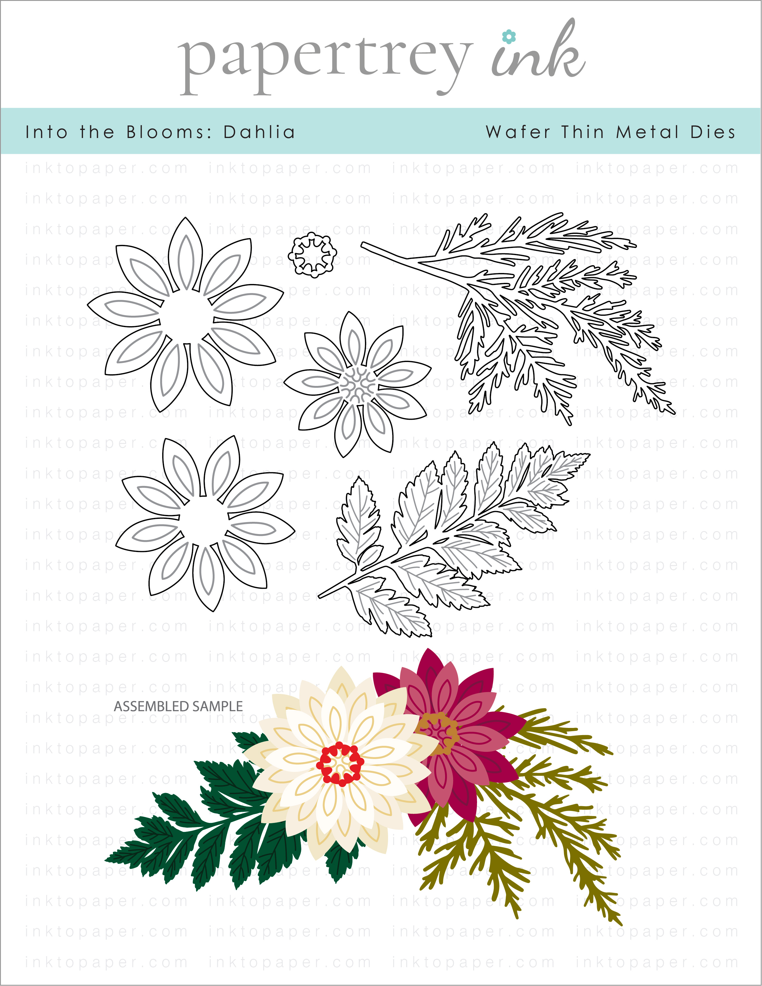 Into The Blooms Collection: Papertrey Ink