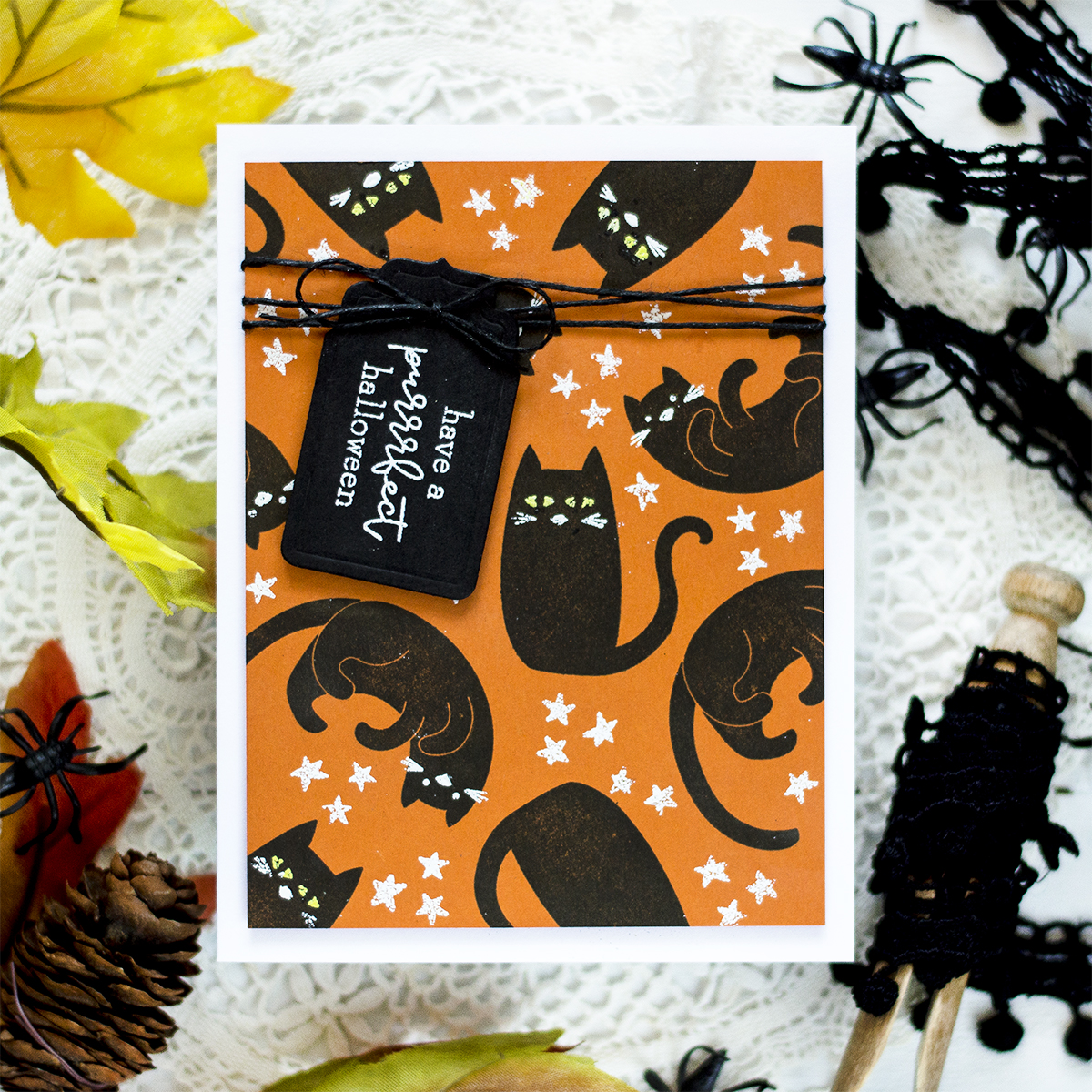 Scaredy Cat Stamp Set