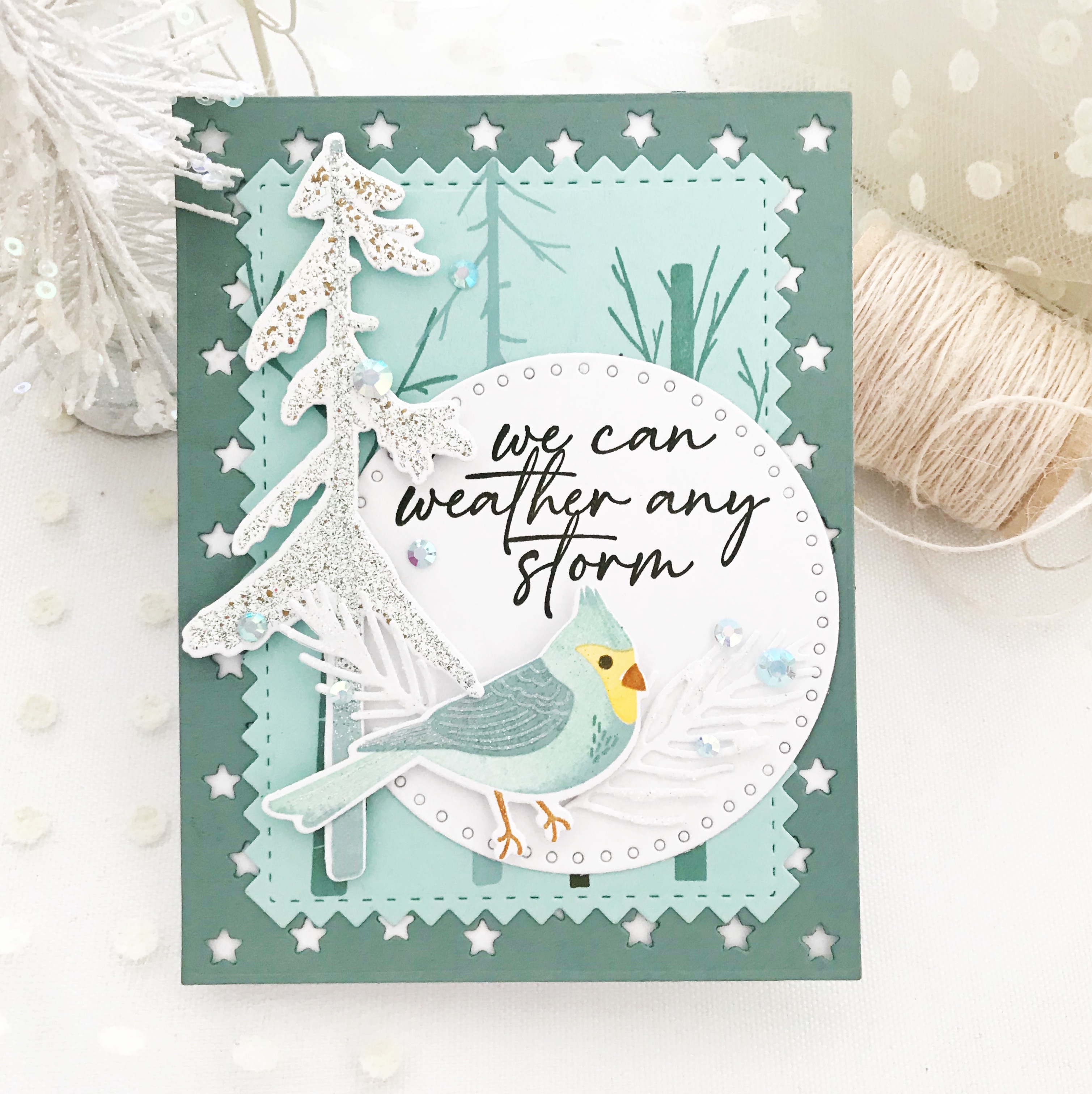 Feathered Friends Mini 6 Mini Stamp Set