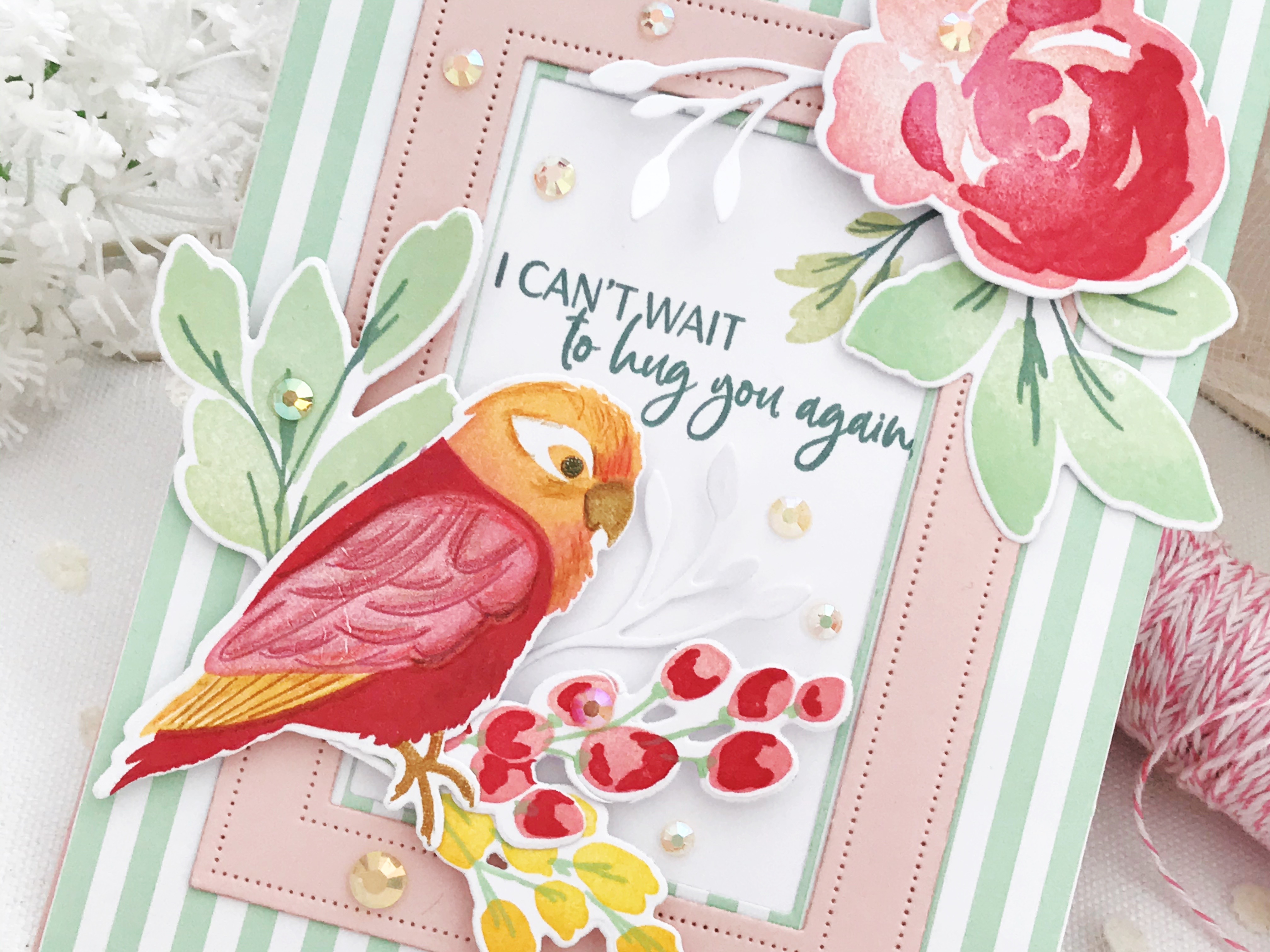 Feathered Friends Mini 10 Mini Stamp Set