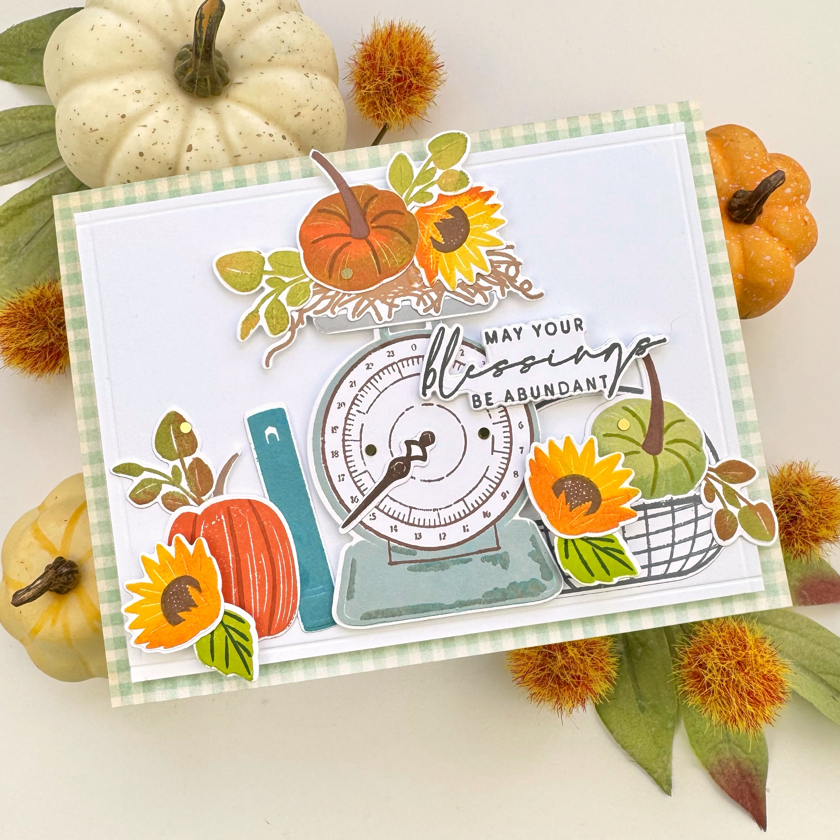 Measured in Abundance Stamp Set